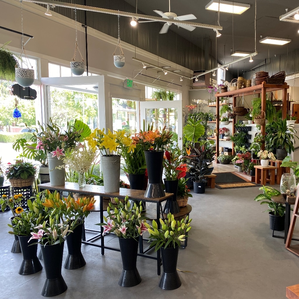 フェラーリ Ferrari K's flower novo プリザーブドフラワー K's flower novo (TS CUBIC SHOPPING) |